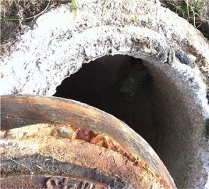 Microbial induced corrosion Microbial induced corrosion